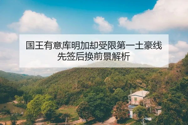 国王有意库明加却受限第一土豪线 先签后换前景解析（leyu）